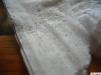 С�մ�ȥ��ͷ