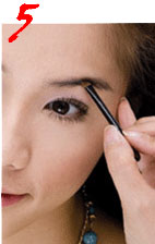  ����������ü�� 