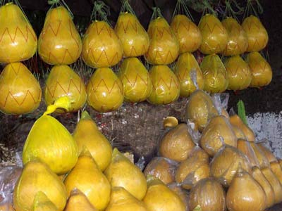 ${���� ����}