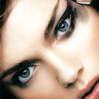 ����������ë�������