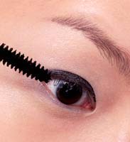 ��ױ������Ƥ��8���ɰ�ױ�ݼ���