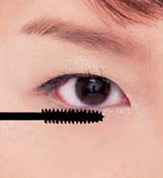 ��ױ������Ƥ��8���ɰ�ױ�ݼ���