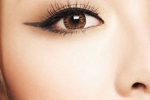 ϸ�����ŵ��������ص�