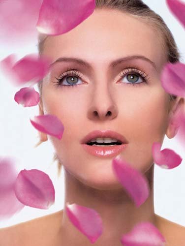 �������˼ƣ���֪��ױ����