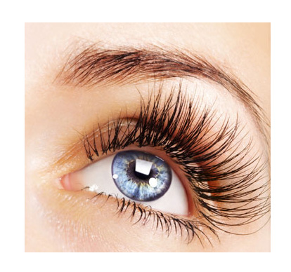  ���������� �ٽ�ë4�д�����Ч�� 