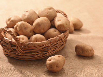 �������ܲ���Ĥ