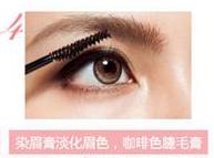 ������üë��������ˢ����˳��üëˢ����üë����Ⱦɫ������ɫ��ë��ˢ��ë����ë��ϡ���ˣ����ú�ɫ��ǿ������β����ˢ����ɫ��