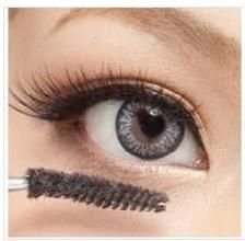 ���������ȸ�ʮ��������ױ