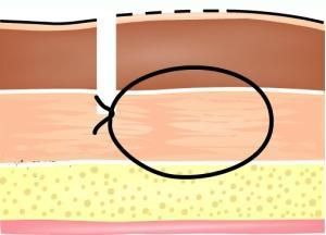 ��Ϻ������ͼ