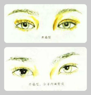 ����˫��Ƥ