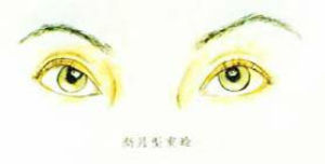 ������˫��Ƥ