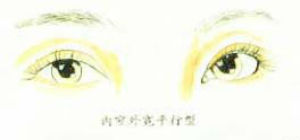 ��խ�����˫��Ƥ