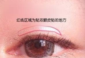 �����˫��Ƥ��