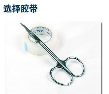 ������˫��Ƥ��