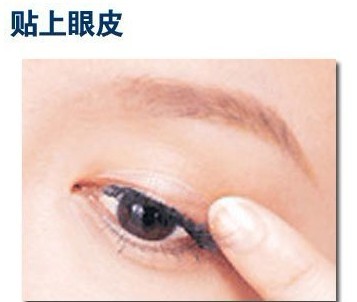 ������˫��Ƥ��