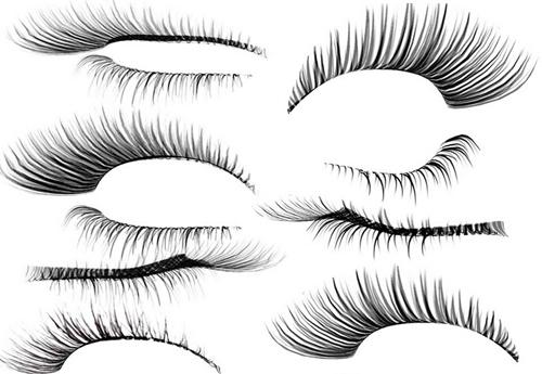 Ů���������������� è�۽�ë�ֵ�����