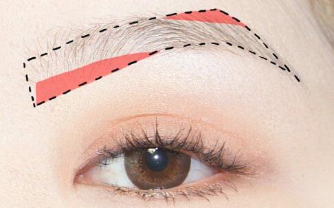 ����-��������Ũü�ȳ� ���ȴ�ü���з���