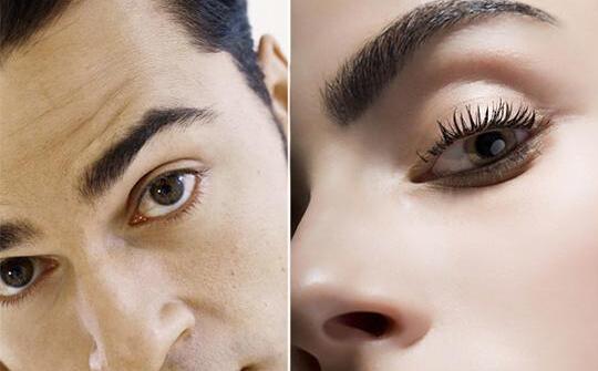 �����ְֶ���ü�� ������ѧ�㻭ü֪ʶ