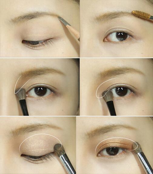 ��������ữױ����ֽ ��·������Ѫ�