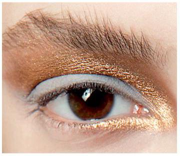 ��������С��ױ�Ŵ��� ��ʥ����ױ������