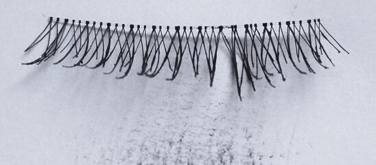 ����Ⱦ�������� 6��ڱ���ë���������