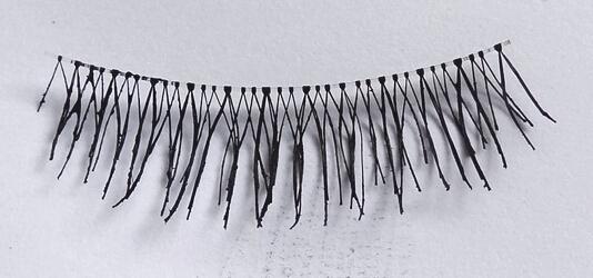 ����Ⱦ�������� 6��ڱ���ë���������