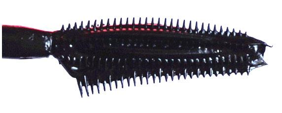 ����Ⱦ�������� 6��ڱ���ë���������