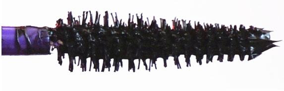 ����Ⱦ�������� 6��ڱ���ë���������