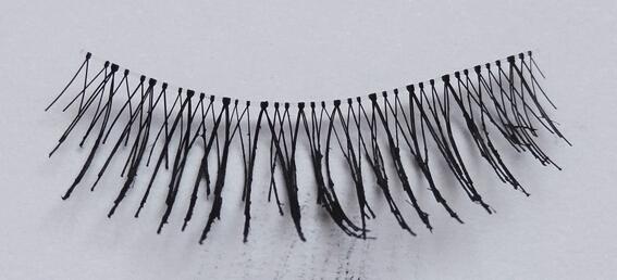 ����Ⱦ�������� 6��ڱ���ë���������