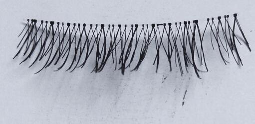 ����Ⱦ�������� 6��ڱ���ë���������