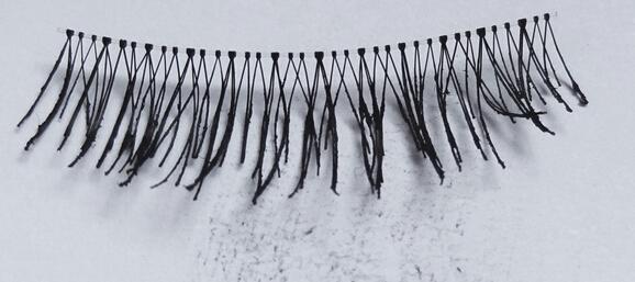 ����Ⱦ�������� 6��ڱ���ë���������