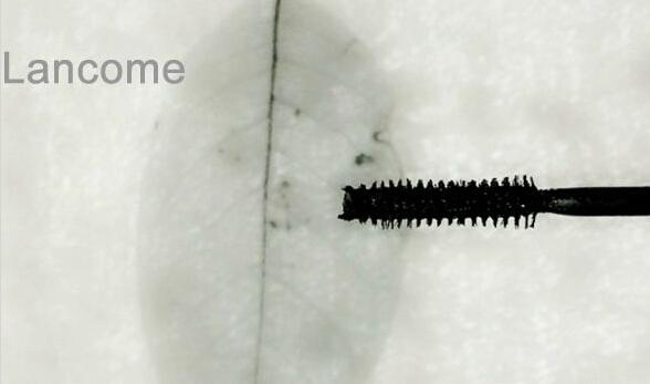 ������ױ�ر� һ�𿴱����ë����PK