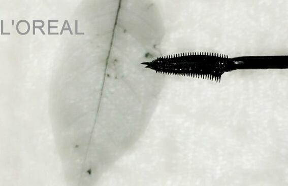 ������ױ�ر� һ�𿴱����ë����PK