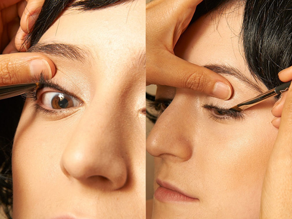 ��������ױ��ʾ�� ��������������ɶ��