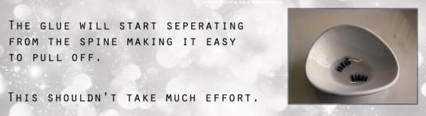 ��Ҫ������������ױ ��Ҫѧ�����ٽ�ë