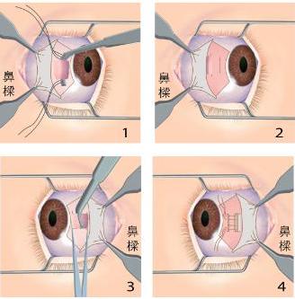 ��½�ĸ�Ӣ��ʥ�� ������Ҳ�ҳ���Ů