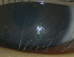 ����Ҫ��ô���ƣ�