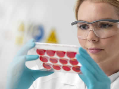 ��������Ԥ����������Ч