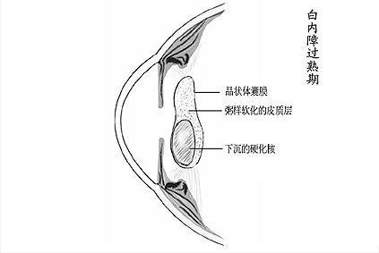 ��������԰����� - ������Ϣ - ������Ϣ