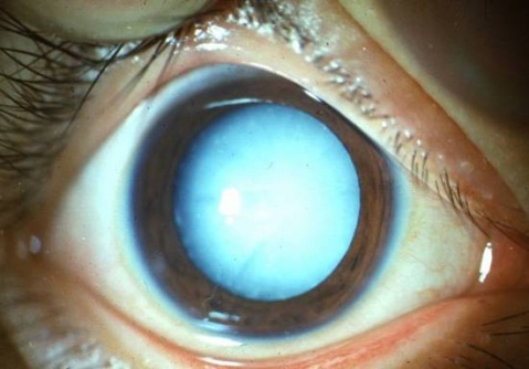 ��������԰����� - ������Ϣ - ������Ϣ