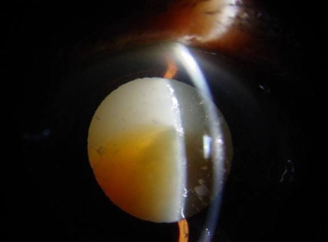 ��������԰����� - ������Ϣ - ������Ϣ