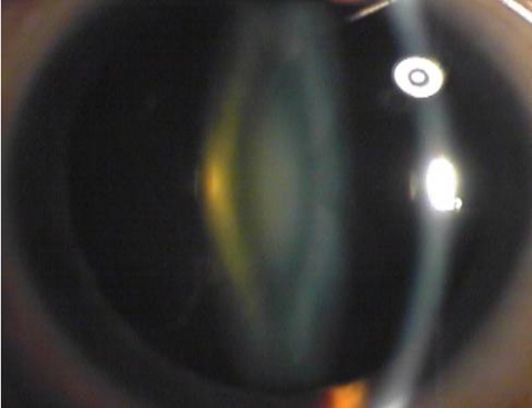 ��������԰����� - ������Ϣ - ������Ϣ