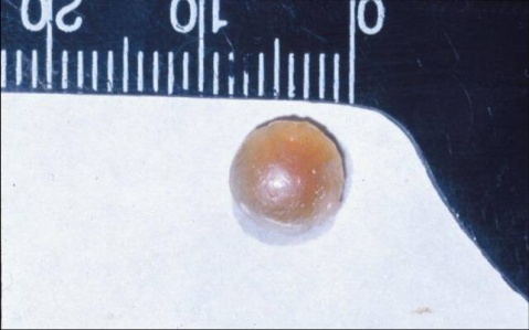 ��������԰����� - ������Ϣ - ������Ϣ