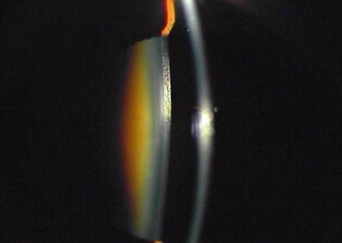 ��������԰����� - ������Ϣ - ������Ϣ