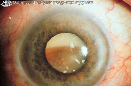 ��������԰����� - ������Ϣ - ������Ϣ