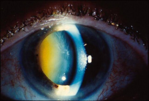 ��������԰����� - ������Ϣ - ������Ϣ