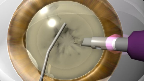 ��������԰����� - ������Ϣ - ������Ϣ