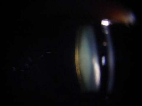 ��������԰����� - ������Ϣ - ������Ϣ