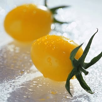 ʥŮ�������������ܻ���