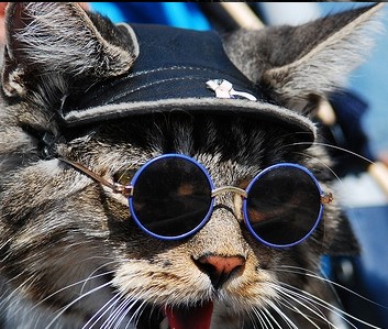 IT��Ӣ���Ƹ��۲����±���